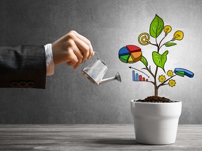 Ảnh: Shutterstock.