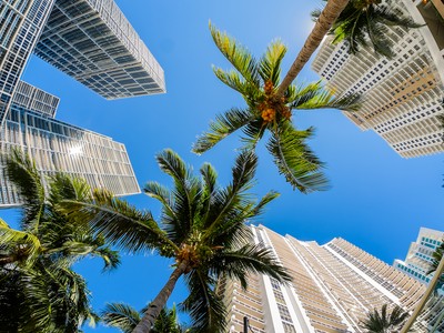 Ảnh: Shutterstock.