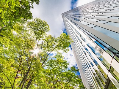 Ảnh: Shutterstock.