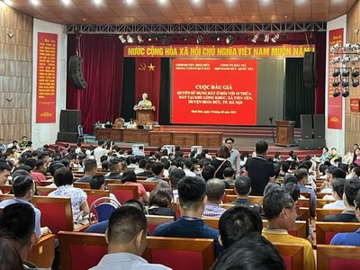 Buổi đấu giá thu hút sự quan tâm của rất nhiều nhà đầu tư. Ảnh: Internet. 