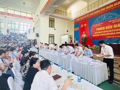 Toàn cảnh phiên đấu giá đất tại Thanh Oai, Hà Nội. Ảnh: Internet.