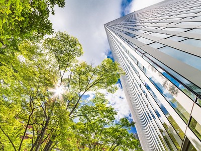 Ảnh: Shutterstock.