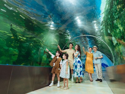 Thuỷ cung tại Công viên Thiên Đường Bảo Sơn luôn rất cuốn hút với du khách.