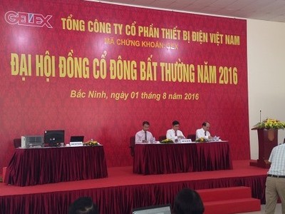 ĐHCĐ bất thường GEX: Tăng vốn khủng để thâu tóm Thibidi và Sotrans