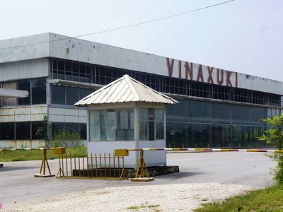 Nợ 19 tỷ đồng tiền bảo hiểm, Vinaxuki từ biểu tượng thành... hiện tượng