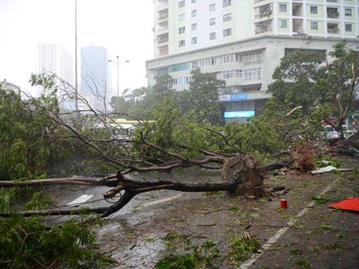 Tình trạng tập kết rác trên các rãnh vỉa, các miệng ga thu, khi mưa, các túi rác này sẽ theo dòng chảy trôi rất nhanh về các ga thu làm giảm khả năng thu nước (ảnh minh họa)