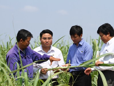 TTCS sẽ tiếp tục đẩy mạnh đầu tư toàn diện trên mọi mặt Nông nghiệp -  Sản xuất – Kinh doanh với nhu cầu vốn rất lớn.