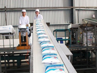 Hàng trăm nghìn tấn đường “chết” trong kho nếu gia hạn giấy phép tạm nhập tái xuất