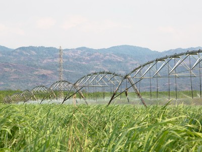 SBT bắt đầu mua cổ phiếu Quỹ 