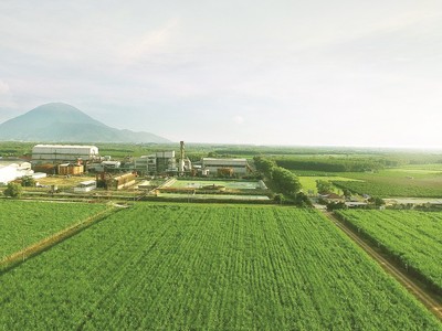 SBT sẽ bứt phá ra sao trong nửa cuối niên độ 2018 - 2019?