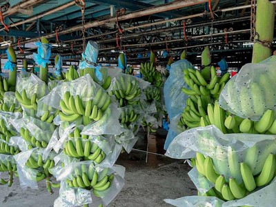 Dự án áp dụng nhiều kĩ thuật tiên tiến và giải pháp bền vững, thân thiện với môi trường