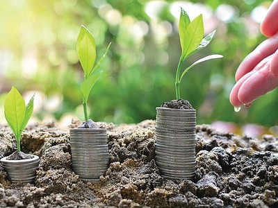 Cần chuyển đổi để tiếp cận tín dụng xanh