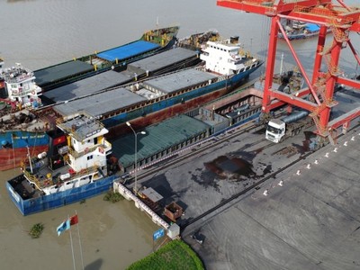 Thép cuộn Việt Nam có thể không phải chịu thuế chống bán giá khi xuất khẩu sang Úc