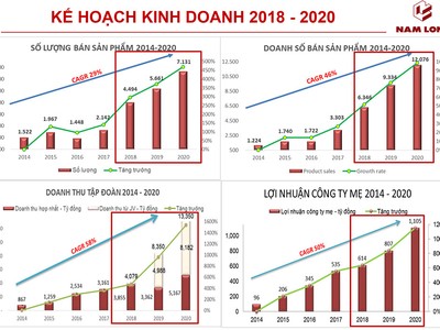 Nam Long: Lợi nhuận tăng trưởng 34%/năm, tự tin tổ chức đấu giá cổ phần tăng vốn