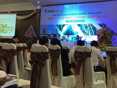 ĐHCĐ HAG: Việc đàm phán bán Dự án Myanmar đang trong giai đoạn bảo mật