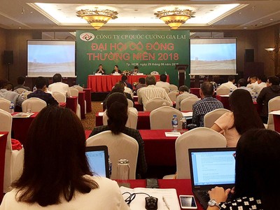 Đại hội đồng cổ đông Quốc Cường Gia Lai (QCG): Cổ đông nóng lòng với Dự án Phước Kiển