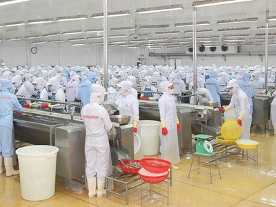 Minh Phú (MPC) sẽ niêm yết trên HOSE vào năm 2019