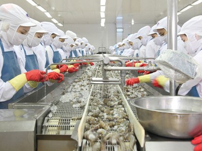 Tập đoàn Mitsui sẽ mua 35,1% vốn cổ phần Minh Phú giá 50.630 đồng/cổ phần