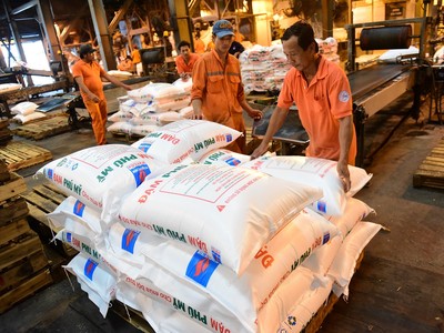 DPM tiếp tục tiết giảm mạnh chi phí trong năm nay khi ngành phân bón khó khăn