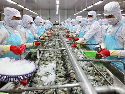 Minh Phú (MPC) lên tiếng về vụ điều tra lẩn tránh thuế chống bán phá giá của Hoa Kỳ