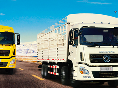 HHS gửi 1.900 tỷ đồng trong ngân hàng, mỗi cổ phiếu sở hữu 7.800 đồng/tiền mặt