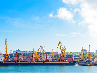 VRC đã được cấp Giấy chứng nhận quyền sử dụng đất 50 ha Cảng Mỹ Xuân