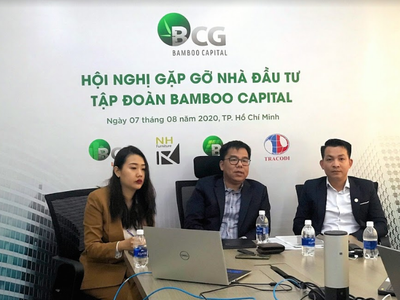 Bamboo Capital (BCG) sở hữu danh mục dự án công suất 652 MW điện gió