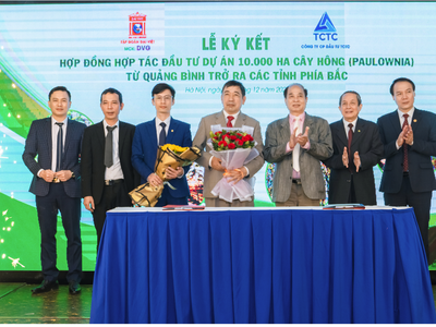 Sơn Đại Việt (DVG) hợp tác đầu tư 10.000 ha cây Hông với TCTC