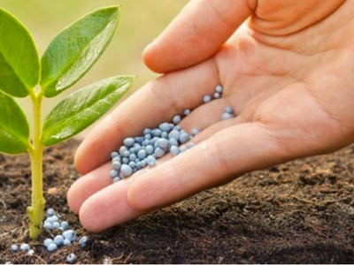 Chuyên gia thuế đề xuất sửa Điều 15 trong dự án sửa đổi Luật Thuế giá trị gia tăng