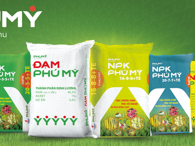 Ra mắt tên và bộ nhận diện thương hiệu mới PHUMY: Bước chuyển mình mạnh mẽ của PVFCCo (DPM)