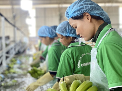 Hoàng Anh Gia Lai (HAG) báo lãi ròng quý I/2025 gần 341 tỷ đồng