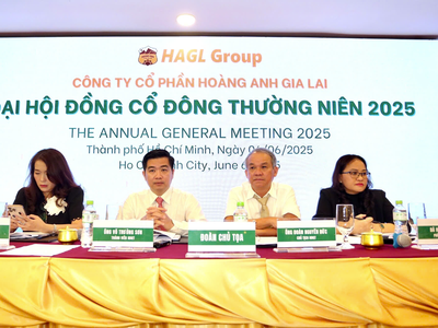 Hoàng Anh Gia Lai (HAG) sẽ trồng dâu tằm và cây cà phê chè