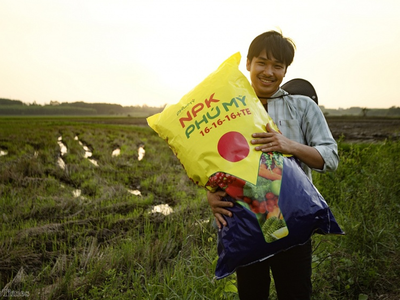 Nhờ áp dụng mô hình kinh doanh mới, PVFCCo ghi nhận kết quả tích cực trong 6 tháng đầu năm 2025, với sản lượng kinh doanh phân bón Phú Mỹ vượt xa kế hoạch