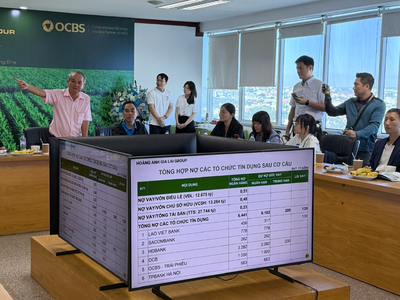 Ông Đoàn Nguyên Đức trình bày với đại diện quỹ đầu tư và công ty chứng khoán về sức khỏe tài chính của HAGL.