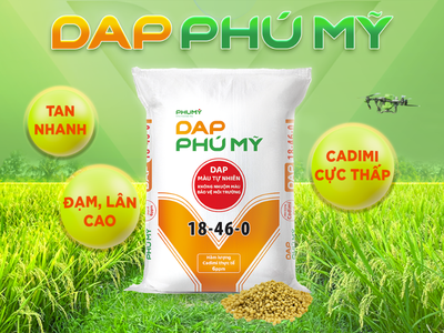 PVFCCo - Phú Mỹ (DPM) ra mắt DAP Phú Mỹ