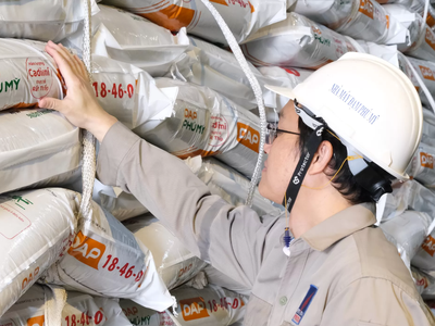 PVFCCo - Phú Mỹ (DPM) đặt kế hoạch tăng trưởng hai chữ số năm 2026