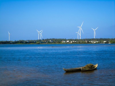 Halcom Việt Nam (HID) giải trình lý do cổ phiếu bị đưa vào diện cảnh báo