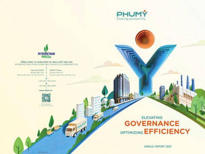 PVFCCo - Phú Mỹ (DPM) xếp hạng nhì toàn cầu, giành 2 giải bạch kim tại LACP 2025 Vision Awards (Hoa Kỳ)