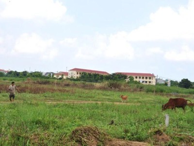 Khu dân cư Bắc Lê Lợi sau nhiều năm vẫn chỉ là bải cỏ hoang. Ảnh: Internet