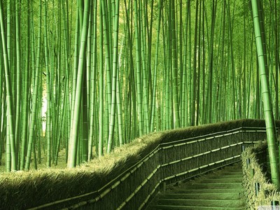 Khát vọng Việt Nam 2035 không phải là một giấc mơ, mà là một thực tế đang được thực hiện (ảnh internet)