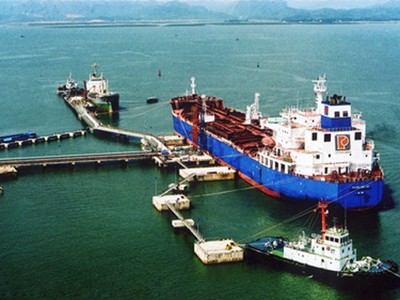 Tổng giám đốc Vipco có dấu hiệu thiếu trách nhiệm gây hậu quả nghiêm trọng