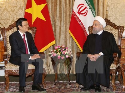 Chủ tịch nước Trương Tấn Sang hội đàm với Tổng thống Iran Hassan Rouhani. (Ảnh: Vietnam+)