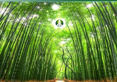 GTN bỏ bớt nhiều ngành nghề kinh doanh để nới room lên 100%