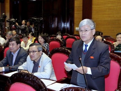 Đại biểu Quốc hội tỉnh Nam Định Nguyễn Anh Sơn phát biểu ý kiến. (Ảnh: An Đăng/TTXVN)