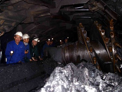 Đề xuất 2 phương án quy định đại diện theo pháp luật của TKV