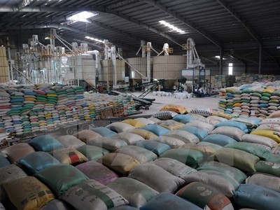 Gạo xuất khẩu. (Ảnh: Lê Sen/TTXVN)