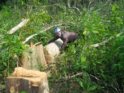 (Ảnh minh họa: Hoài Nam/TTXVN)