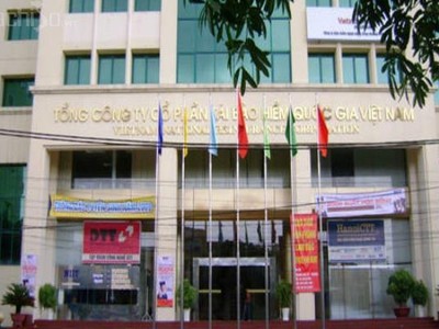Quý I/2016, lợi nhuận của VNR giảm nhẹ