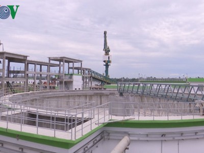 Nhà máy Lee & Man bị tố là bức tử sông Hậu