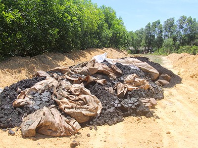 Khu vực rừng tràm nơi phát hiện 100 tấn chất thải tự chôn lấp của Formosa. Ảnh: Đ.H